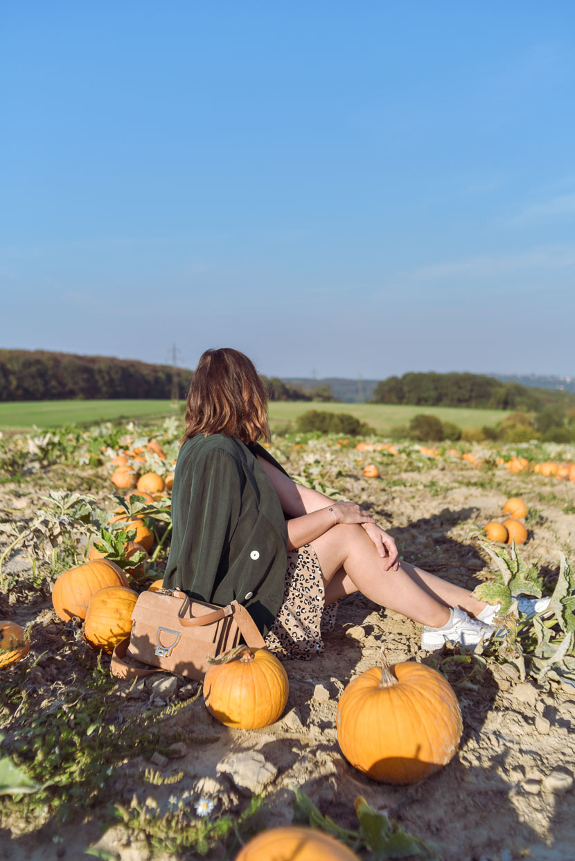 10 Gründe den Herbst zu lieben inkl. Herbstoutfit mit Leo Print 7