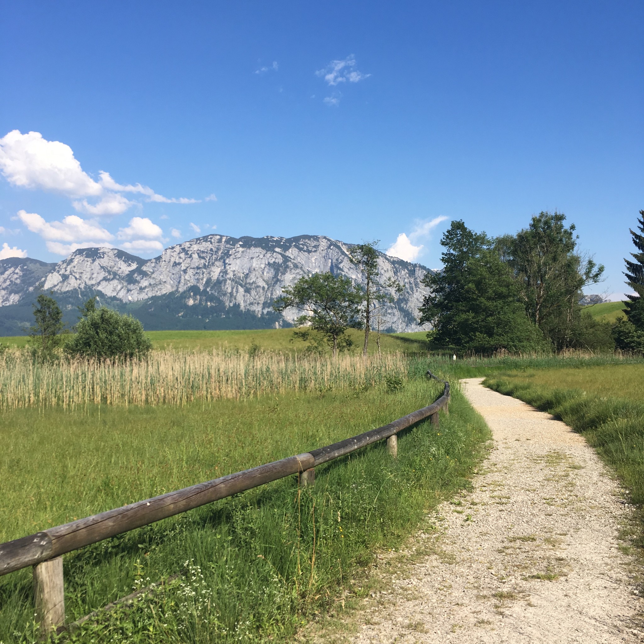 monatsrückblick juni
