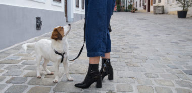 1 Country - 7 Looks: Blockabsatz #schuhtrend #trend #herbst #autumn #blockabsatz #fashion #outfit #fashionblogger #amigaprincess #black #denim #culotte #streetstyle #lack