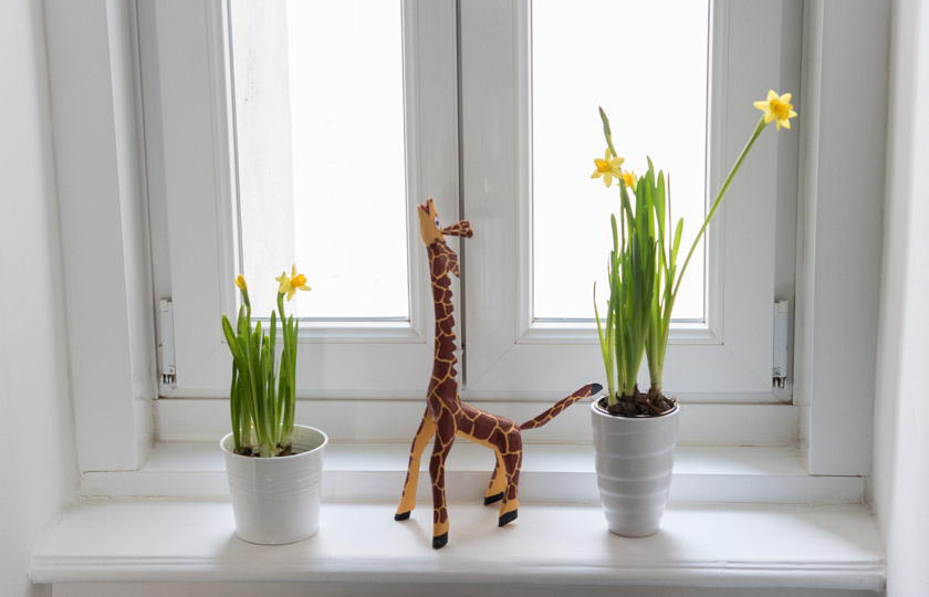 Entrance Makeover: Greenery* 10