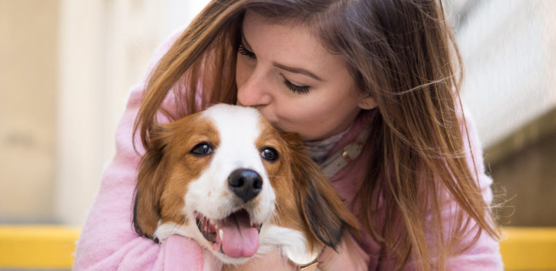 Takeover Knut: Happy Birthday to me!, Kooikerhondje, Knut, Kolumne, amigaprincess, Blogger