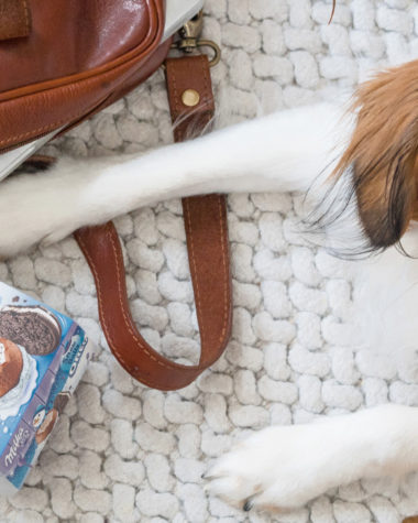 Warum Kleinigkeiten das Leben schöner machen, Alle Jahre Lila, Weihnachtsaktion von Milka, zarte Gesten braucht das Land, Lifestyleblogger, Milka Schokolade, www.amigaprincess.com