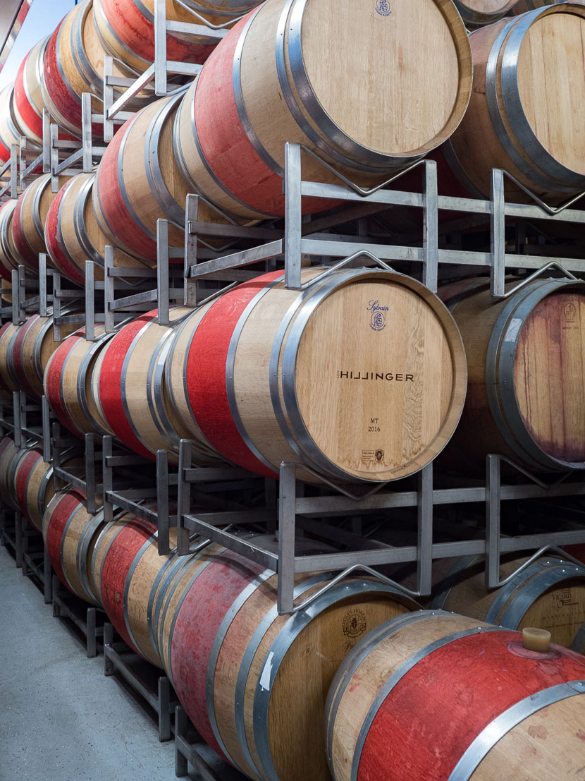 Ein Blick hinter die Kulissen: Weingut Leo Hillinger #hoferweinreise* 15