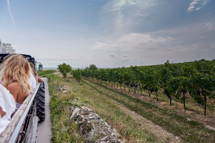 Ein Blick hinter die Kulissen: Weingut Leo Hillinger #hoferweinreise* 2