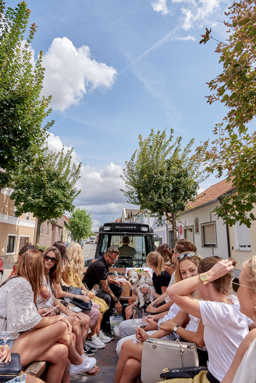 Ein Blick hinter die Kulissen: Weingut Leo Hillinger #hoferweinreise* 8