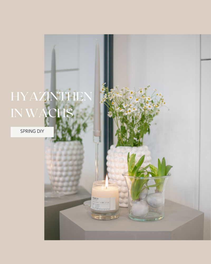 Hyazinthen in Wachs selber machen – Frühlingsdeko Idee, Hyazinthen in Wachs sind die perfekte Frühlingsdeko Idee für alle, die es gerne schlicht halten- egal ob auf der Fensterbank oder als Tischdeko, DIY Video Anleitung für die Frühlingsdeko, minimale Dekotrend Frühling 2021, DIY Hyazinthen Deko Idee, Hyazinthe im Glas zu dekorieren, Schritt für Schritt Anleitung für die Hyazinthen in Wachs, alykkelife.com